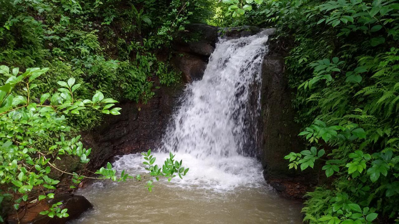 Cherilyn Monta Resort - Ratnagiri Vatul 외부 사진
